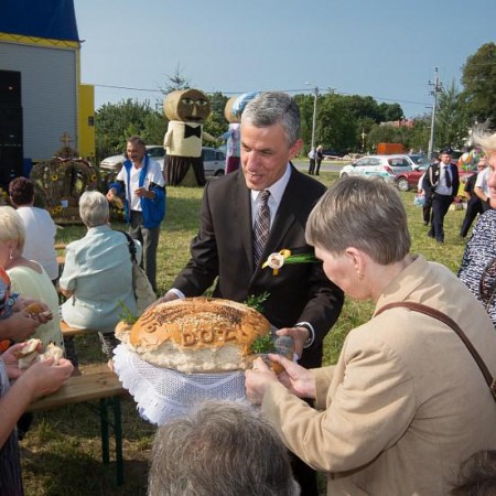 Wyświetl org. rozmiar