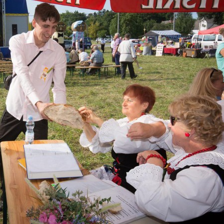 Wyświetl org. rozmiar