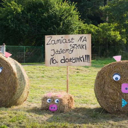 Wyświetl org. rozmiar