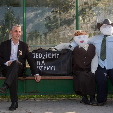 Wyświetl org. rozmiar