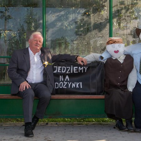 Wyświetl org. rozmiar