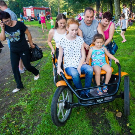 Wyświetl org. rozmiar