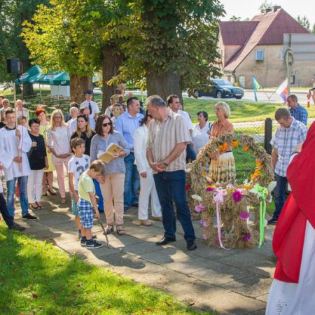 Wyświetl org. rozmiar