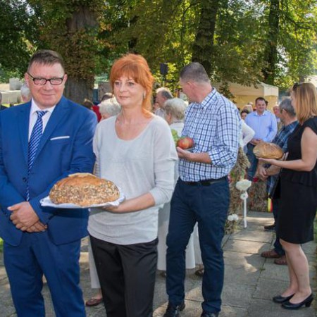 Wyświetl org. rozmiar