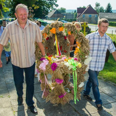 Wyświetl org. rozmiar