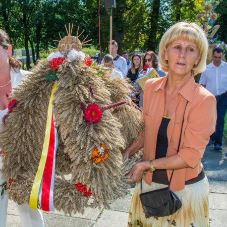 Wyświetl org. rozmiar