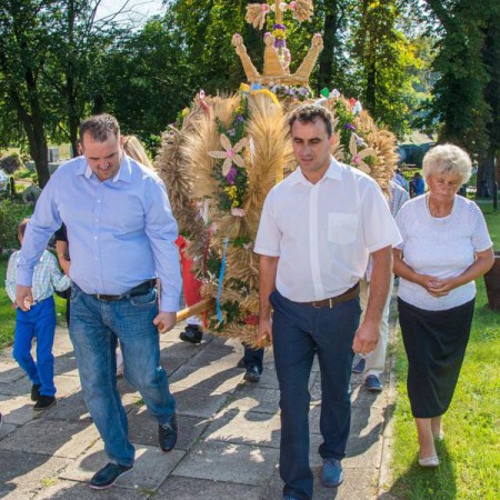 Wyświetl org. rozmiar