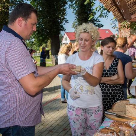Wyświetl org. rozmiar