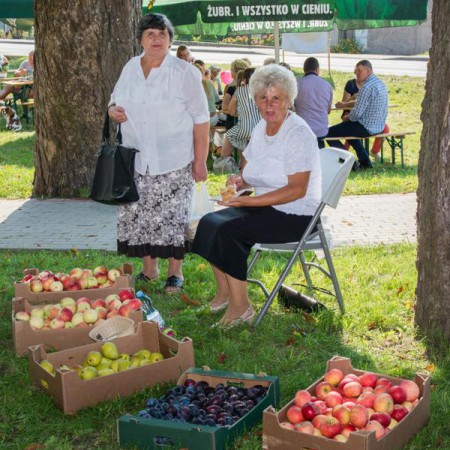 Wyświetl org. rozmiar