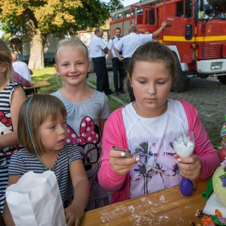 Wyświetl org. rozmiar