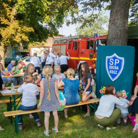 Wyświetl org. rozmiar