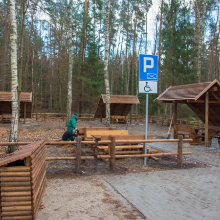 Wyświetl org. rozmiar