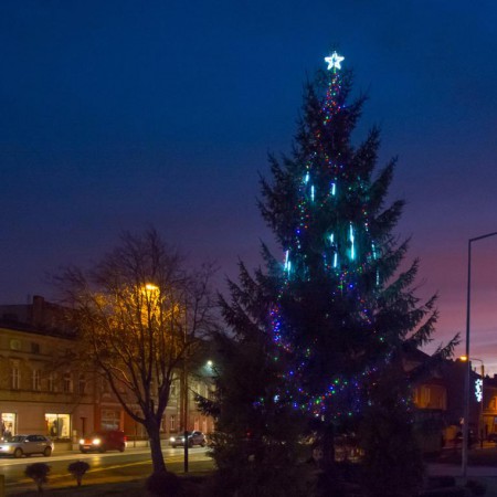 Wyświetl org. rozmiar