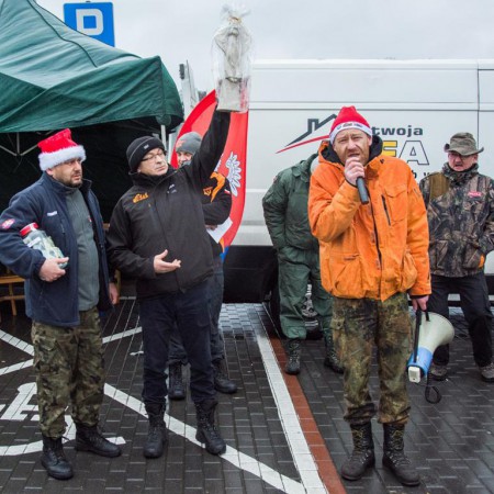 Wyświetl org. rozmiar