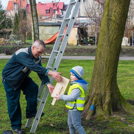 Wyświetl org. rozmiar