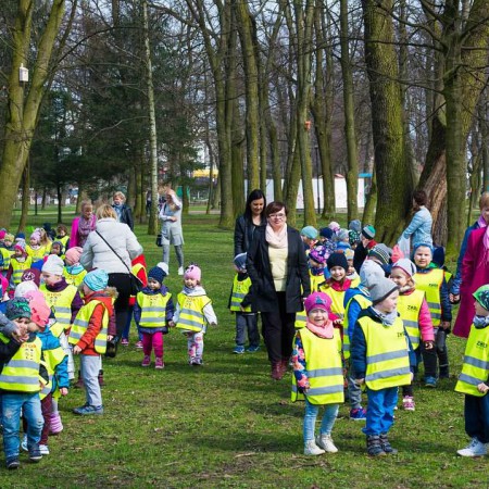 Wyświetl org. rozmiar