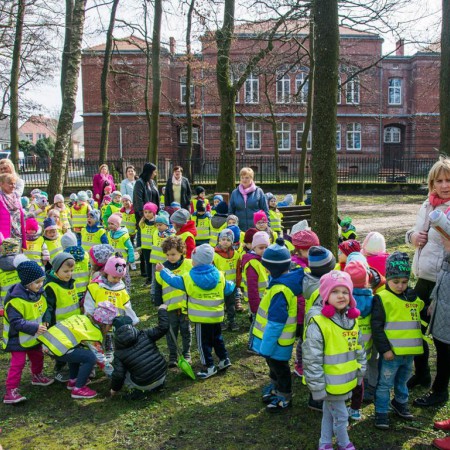 Wyświetl org. rozmiar