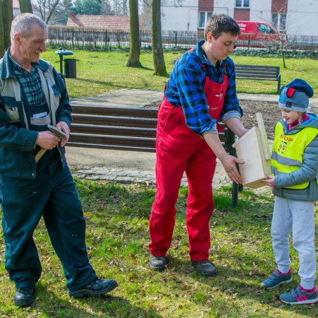 Wyświetl org. rozmiar