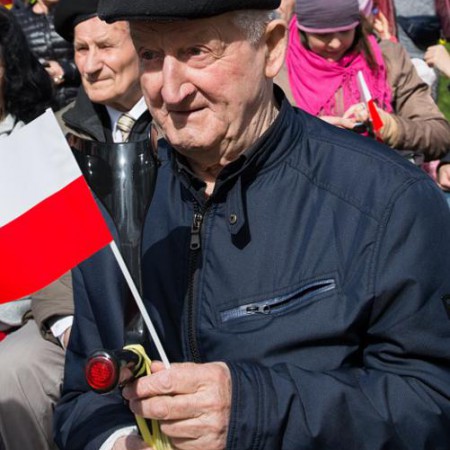 Wyświetl org. rozmiar