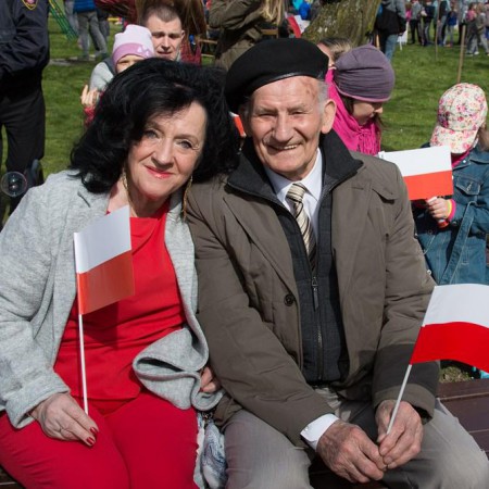 Wyświetl org. rozmiar