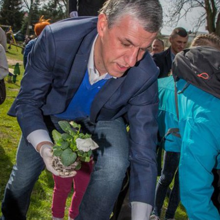Wyświetl org. rozmiar