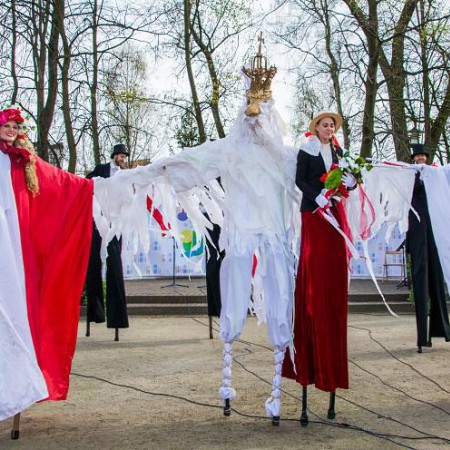 Wyświetl org. rozmiar