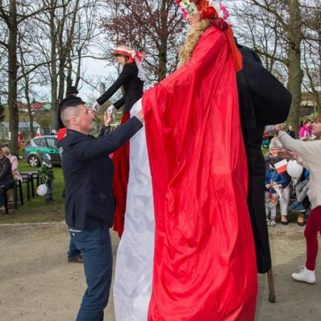 Wyświetl org. rozmiar