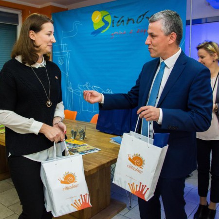 Wyświetl org. rozmiar