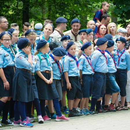 Wyświetl org. rozmiar