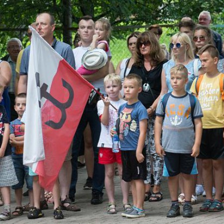 Wyświetl org. rozmiar