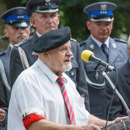 Wyświetl org. rozmiar