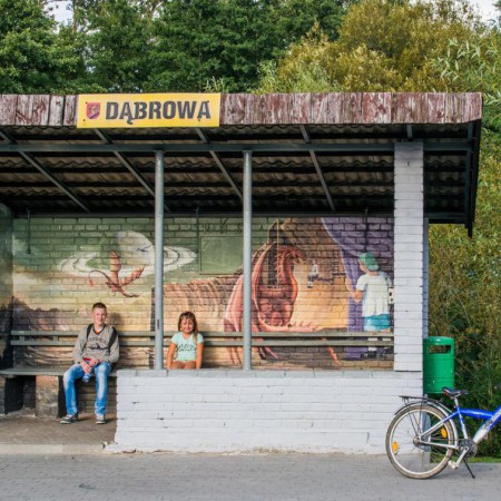 Wyświetl org. rozmiar