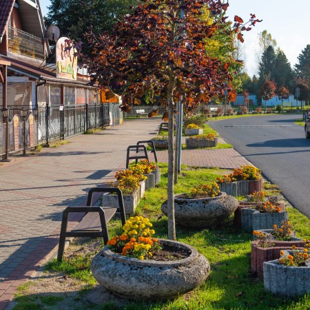Wyświetl org. rozmiar