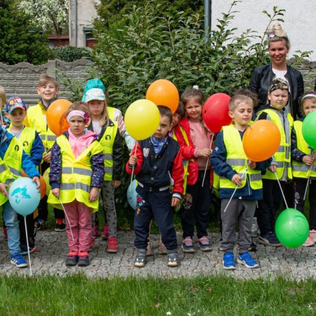 Wyświetl org. rozmiar