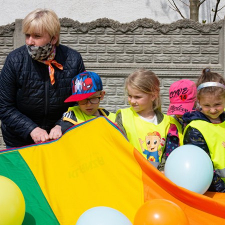 Wyświetl org. rozmiar