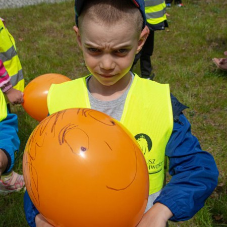 Wyświetl org. rozmiar