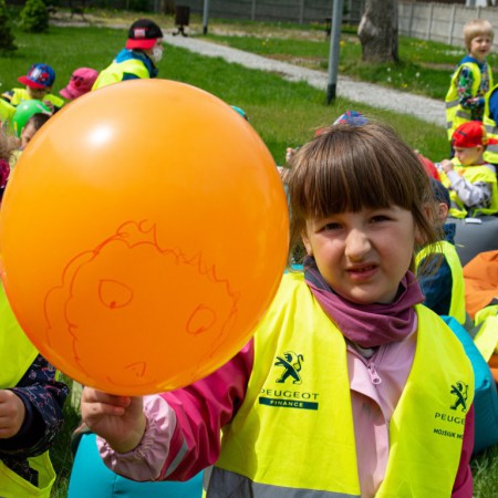 Wyświetl org. rozmiar
