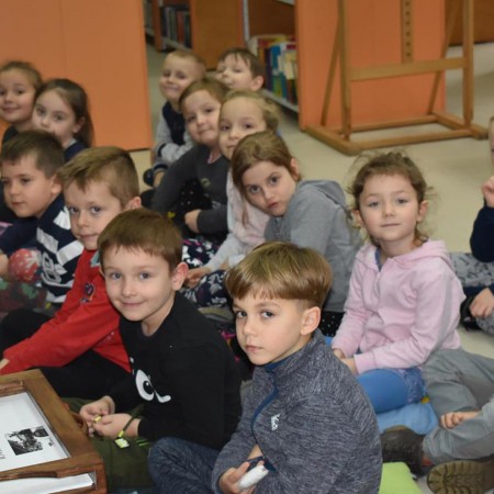 Wyświetl org. rozmiar