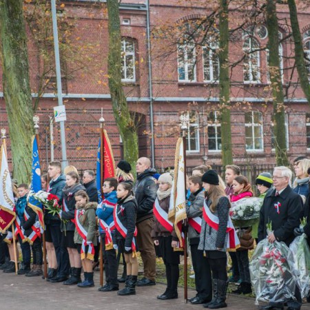 Wyświetl org. rozmiar