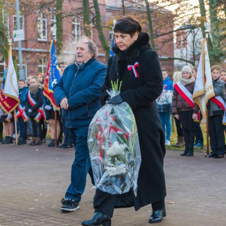 Wyświetl org. rozmiar