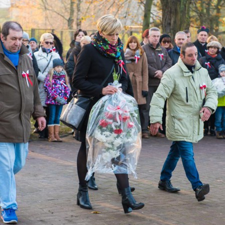 Wyświetl org. rozmiar