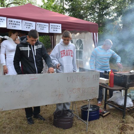 Wyświetl org. rozmiar
