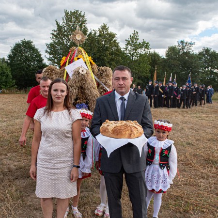 Wyświetl org. rozmiar