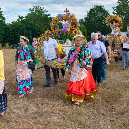 Wyświetl org. rozmiar