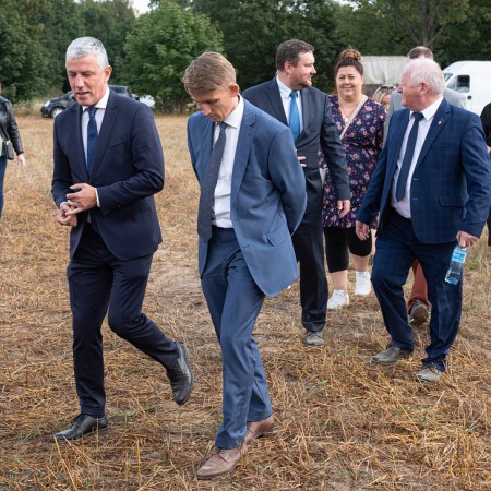 Wyświetl org. rozmiar