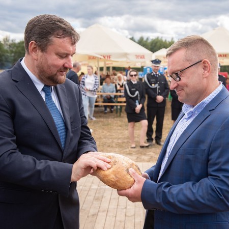 Wyświetl org. rozmiar