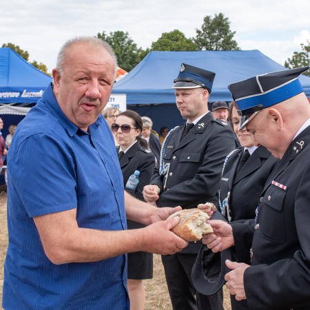 Wyświetl org. rozmiar