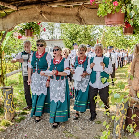 Wyświetl org. rozmiar