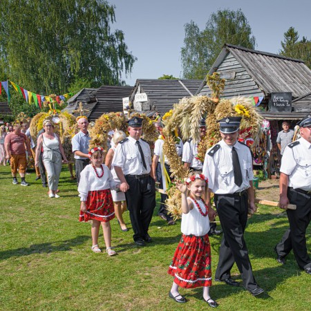 Wyświetl org. rozmiar