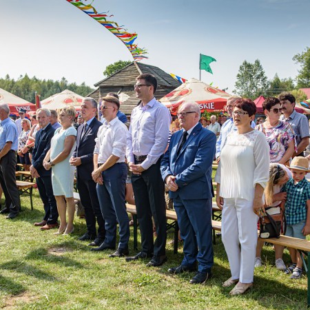 Wyświetl org. rozmiar